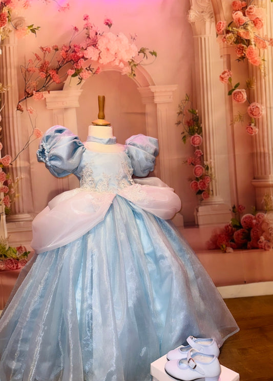 Bespoke Disney cinderella dress preorder