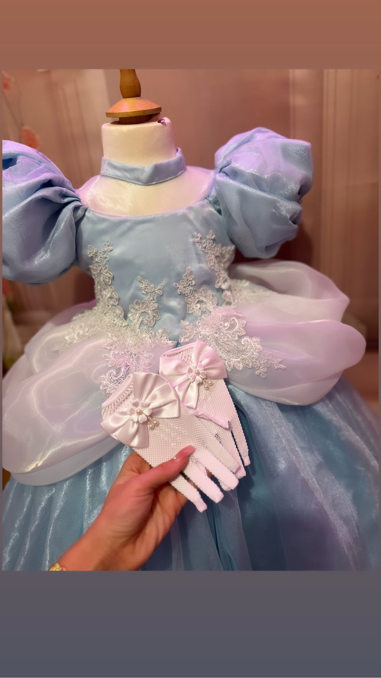 Bespoke Disney cinderella dress preorder